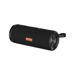 اسپیکر قابل حمل Ldnio BTS13